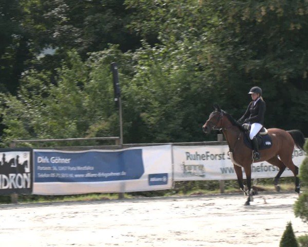 Reitturnier Vlotho-Exter 2025