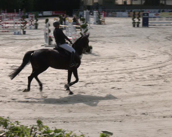 Reitturnier Vlotho-Exter 2025