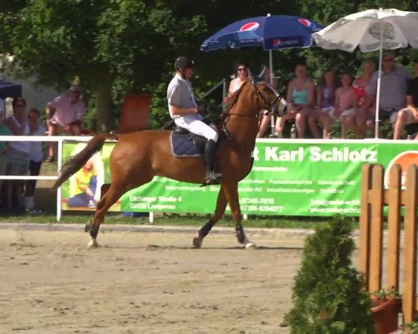 Großes Langenauer Reitturnier 2014