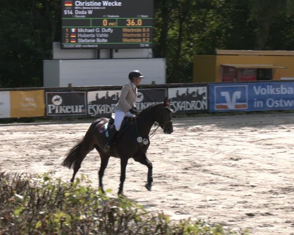 Reitturnier Vlotho-Exter 2025