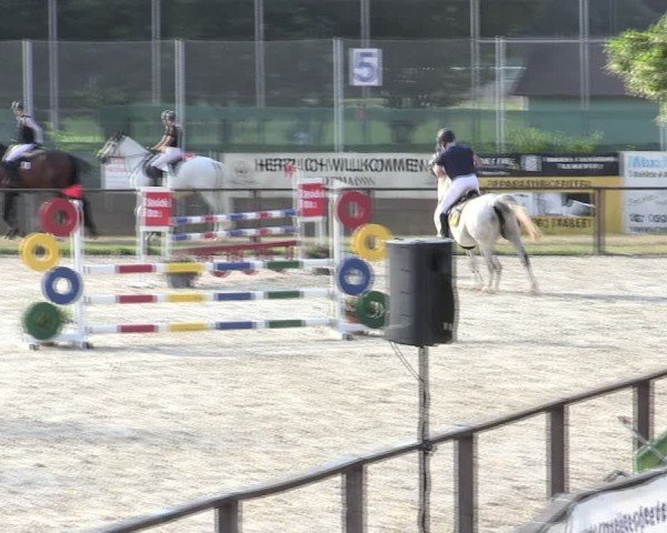 Reitturnier Würzburg/Ufr. 2025