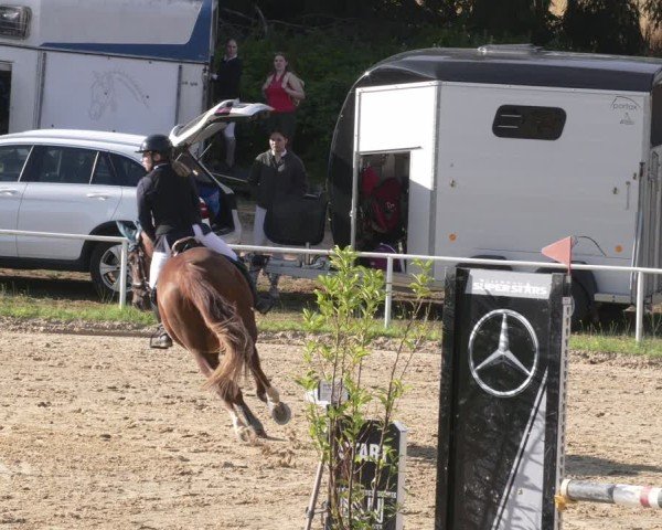 Reitturnier Heiligenwald 2025