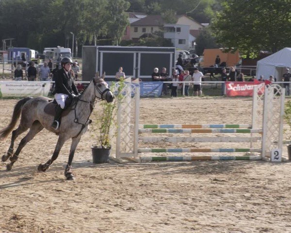 Reitturnier Heiligenwald 2025