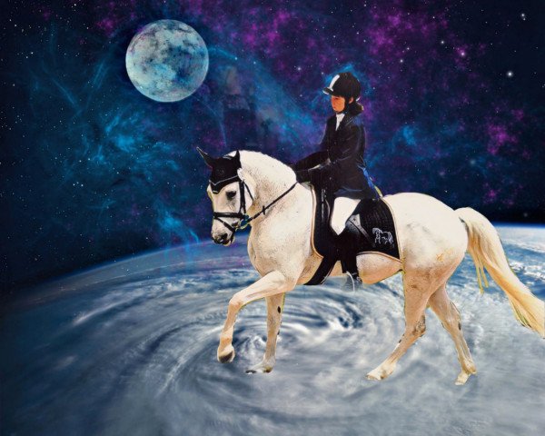 broodmare La Rouge II (German Riding Pony, 1992, from Pascal)