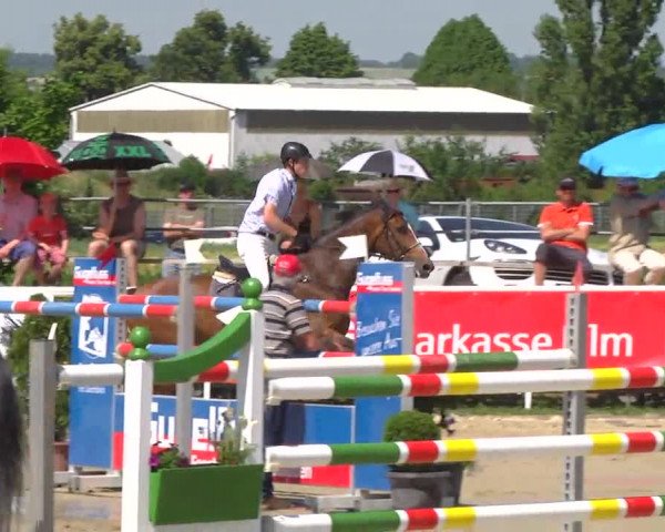 Großes Langenauer Reitturnier 2014