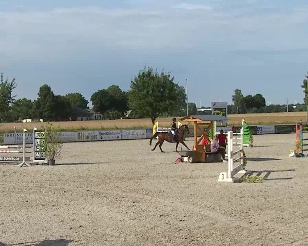 Reitturnier Rot am See- Musdorf 2025