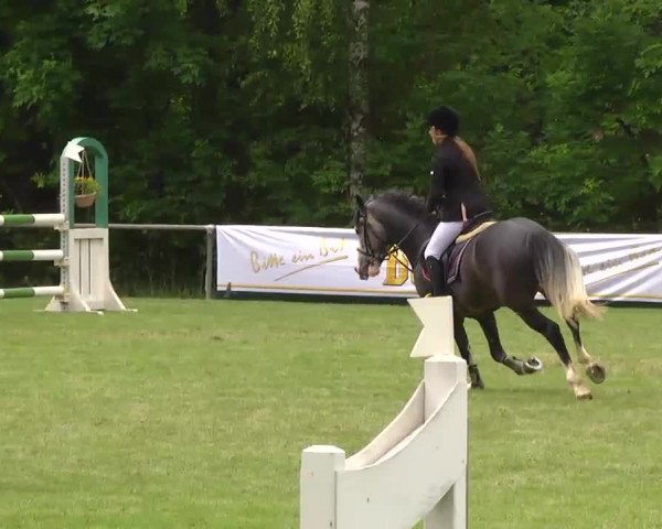 Grosses Freilandreitturnier Leingarten 2014