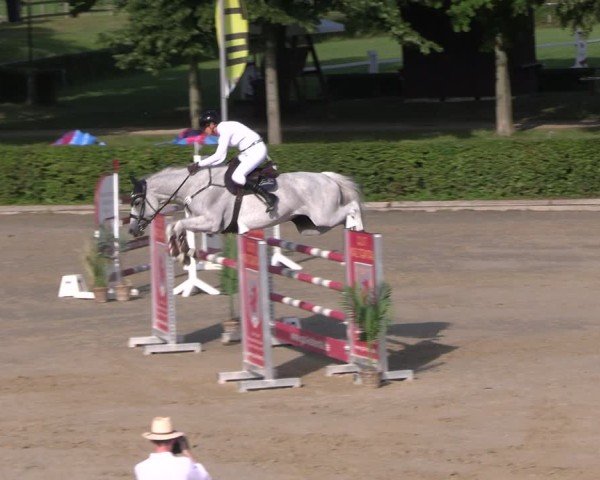 Reitturnier Neustadt/Dosse 2025