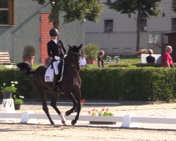Reitturnier Neustadt/Dosse 2025