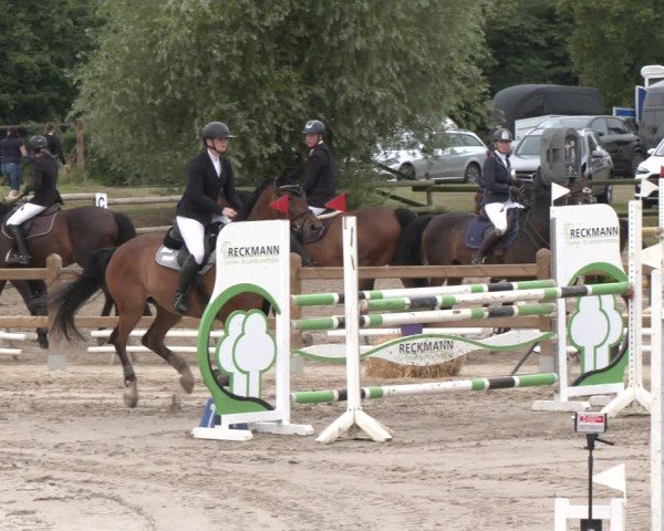 Reitturnier Herbern 2025