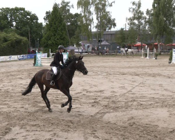 Reitturnier Herbern 2025