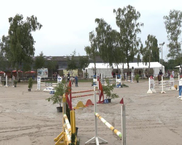 Reitturnier Herbern 2025