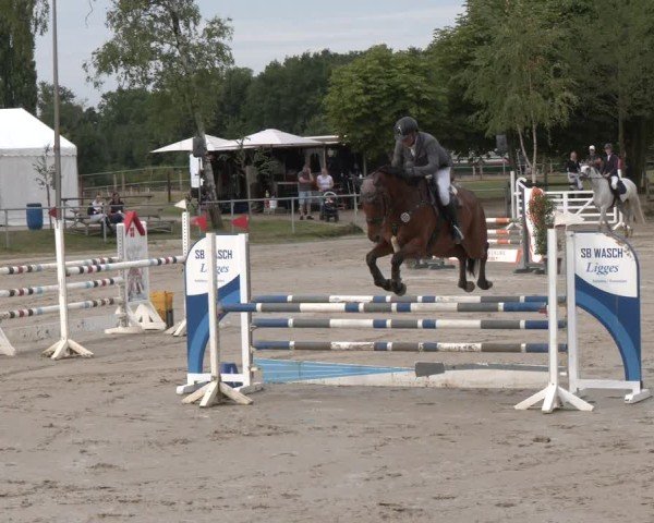Reitturnier Herbern 2025