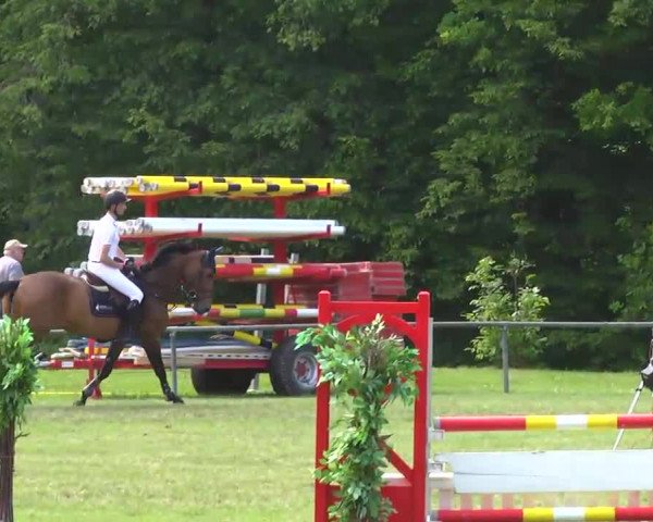 Grosses Freilandreitturnier Leingarten 2014