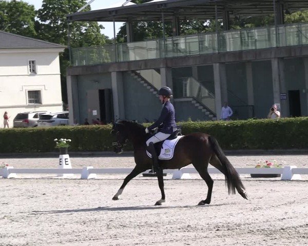 Reitturnier Neustadt/Dosse 2025