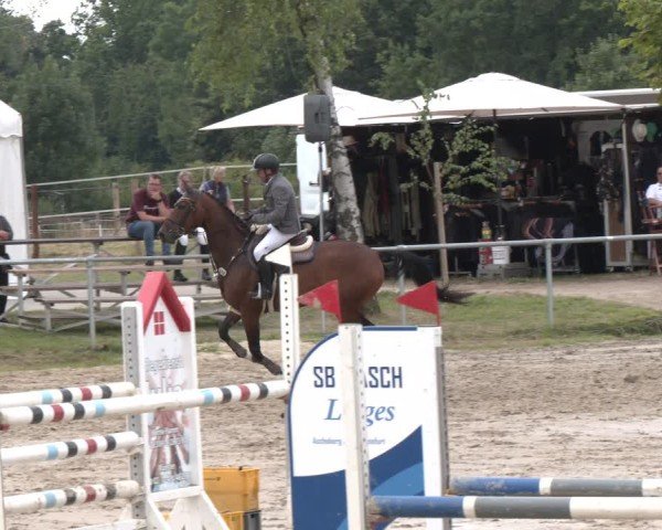 Reitturnier Herbern 2025