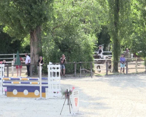 Reitturnier Würzburg/Ufr. 2025