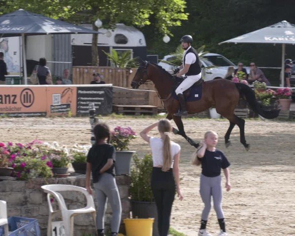 Reitturnier Heiligenwald 2025