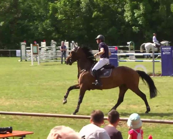 Grosses Freilandreitturnier Leingarten 2014