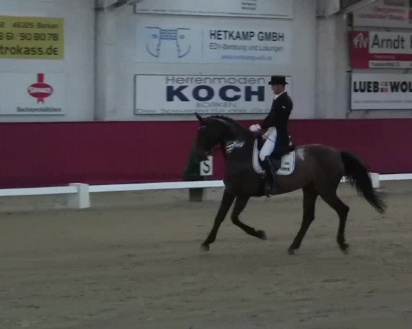 Pfingst - Dressur und Springturnier Borken 2014