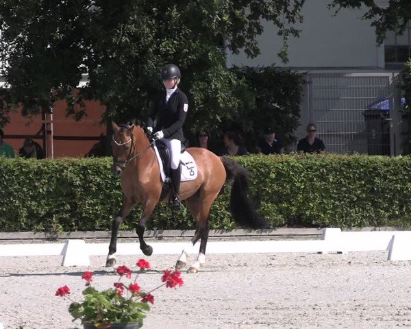 Reitturnier Neustadt/Dosse 2025