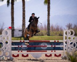 jumper Calippo 57 (Hanoverian, 2016, from Cassalco)