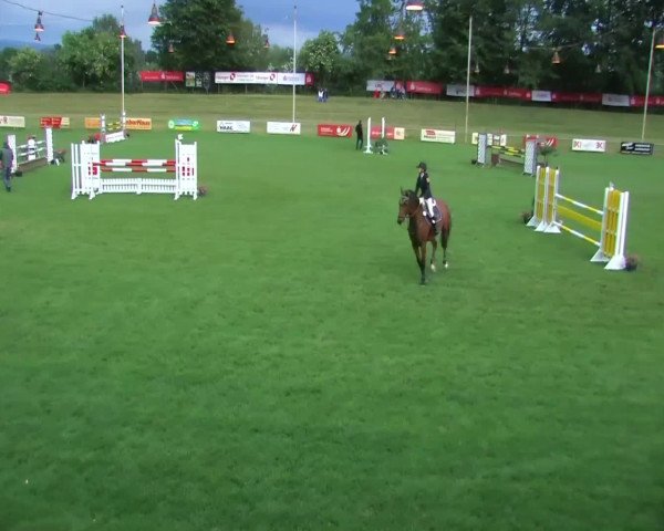 Sommerturnier Legelshurst 2014