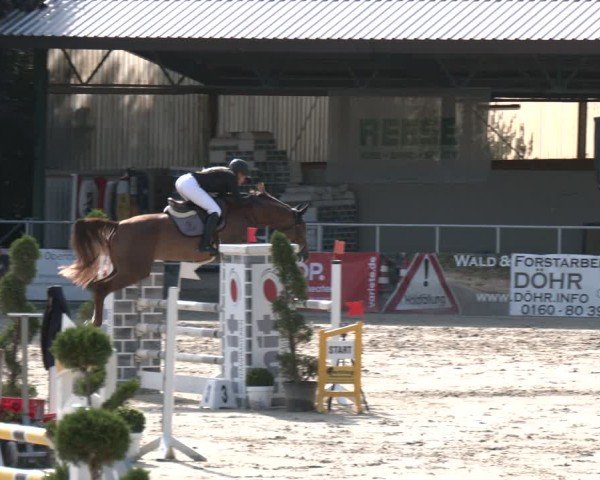 Reitturnier Vlotho-Exter 2025