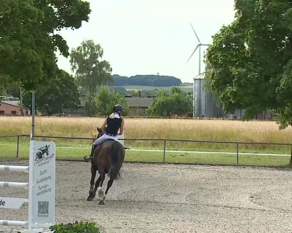 Reitturnier Rot am See- Musdorf 2025