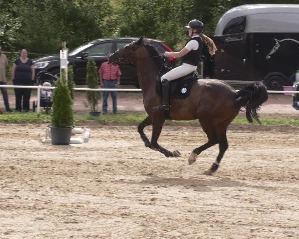 Reitturnier Heiligenwald 2025