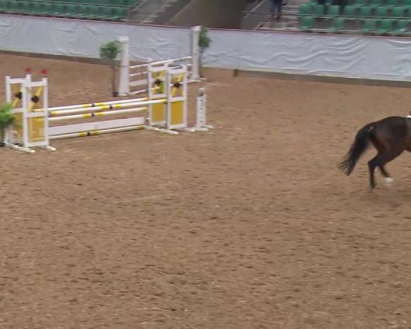 Reitturnier Kreuth/Opf. 2021