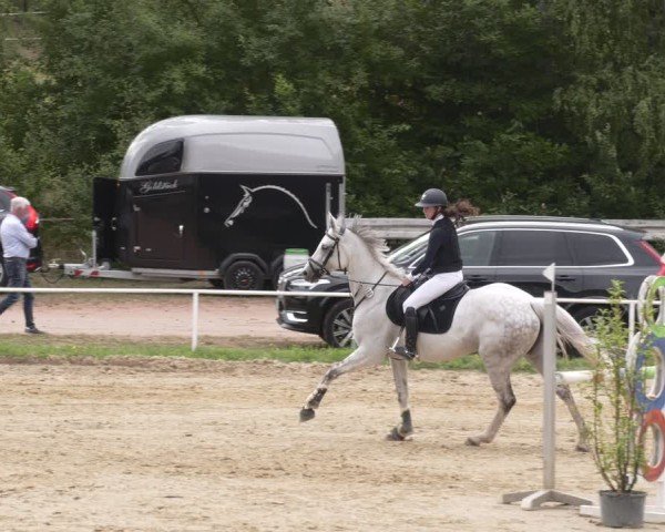 Reitturnier Heiligenwald 2025