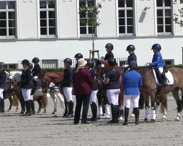 Reitturnier Neustadt/Dosse 2025