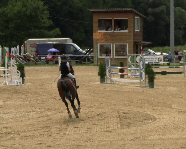 Reitturnier Bad Liebenstein/Sorga 2025