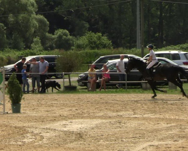 Reitturnier Bad Liebenstein/Sorga 2025