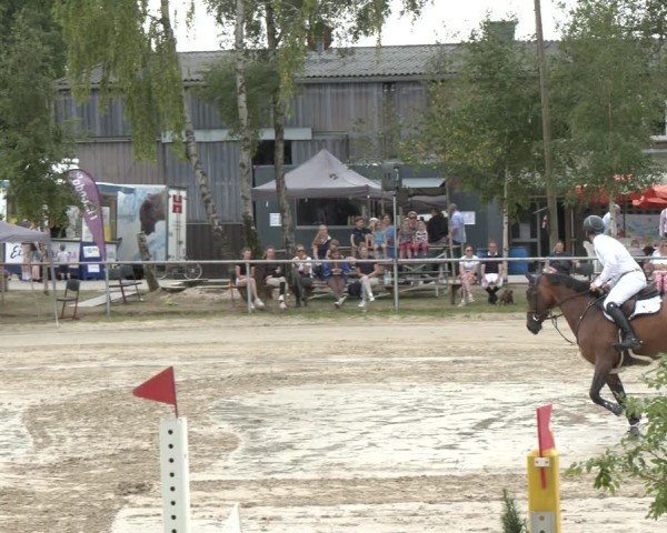 Reitturnier Herbern 2025