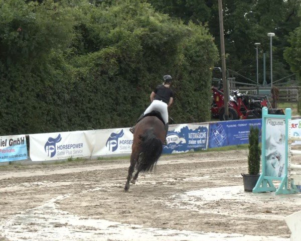 Reitturnier Herbern 2025