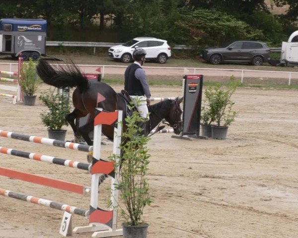 Reitturnier Heiligenwald 2025