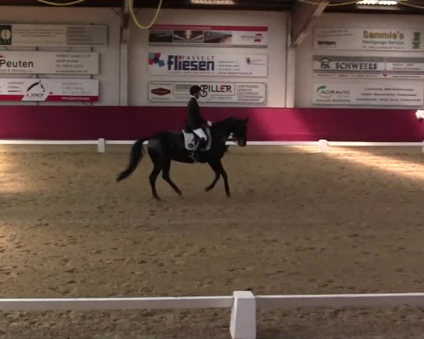 Pfingst - Dressur und Springturnier Borken 2014