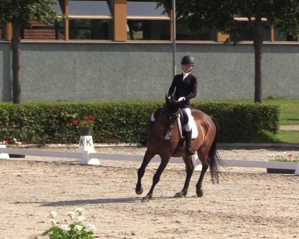 Reitturnier Neustadt/Dosse 2025