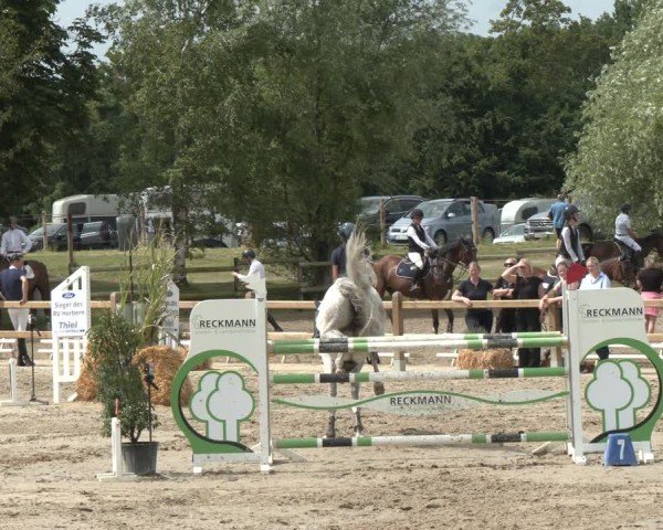 Reitturnier Herbern 2025