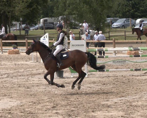 Reitturnier Herbern 2025