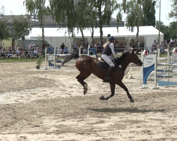 Reitturnier Herbern 2025