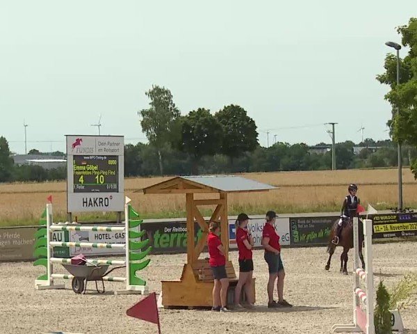 Reitturnier Rot am See- Musdorf 2025