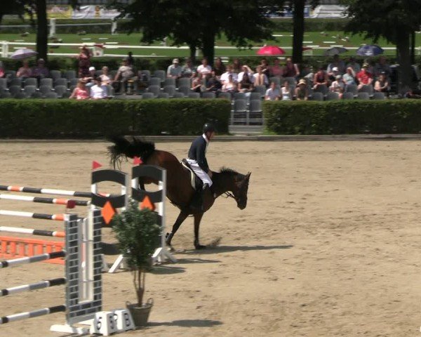 Reitturnier Neustadt/Dosse 2025