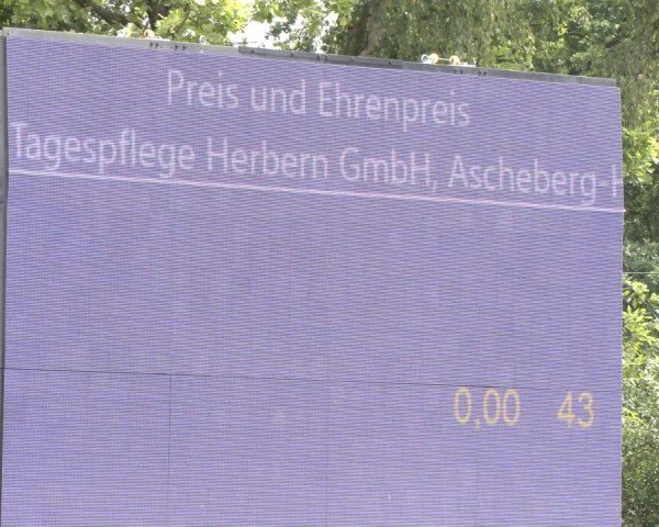 Reitturnier Herbern 2025
