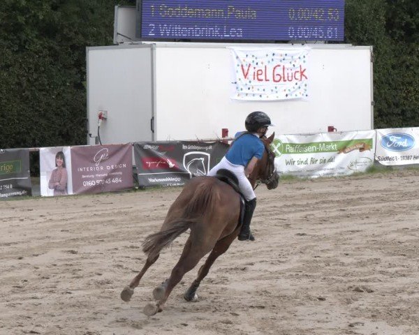 Reitturnier Herbern 2025