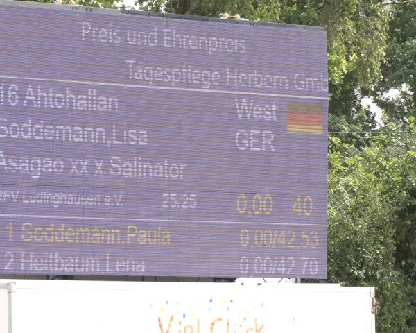 Reitturnier Herbern 2025
