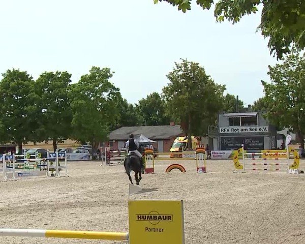 Reitturnier Rot am See- Musdorf 2025