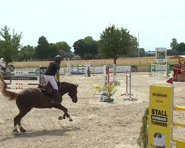 Reitturnier Rot am See- Musdorf 2025